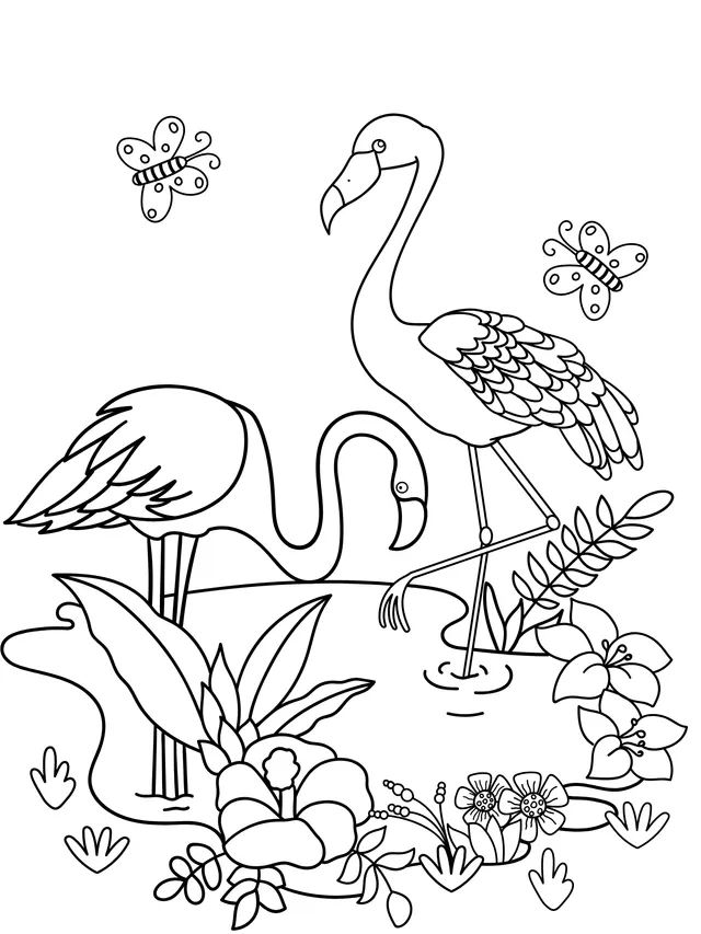 Flamingos and Flowering Plants