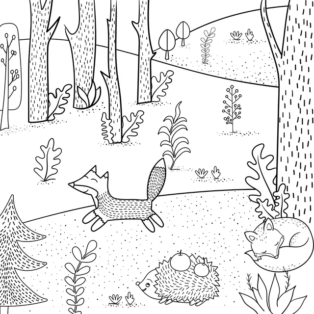 Animals in the Forest
