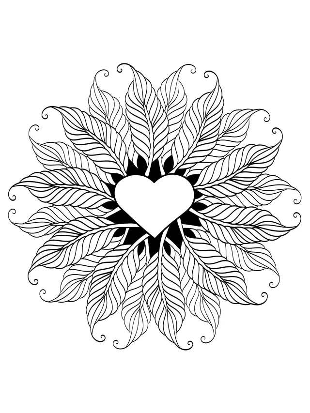 Colorful Feather - adorned Heart Pattern