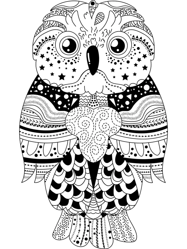 Colorful Patterned Owl