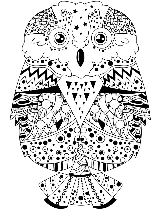 Colorful Patterned Owl