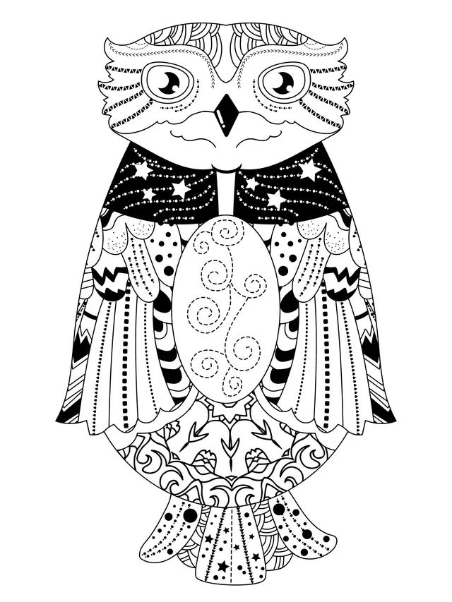 Colorful Owl