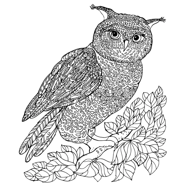 Owl perched on a branch