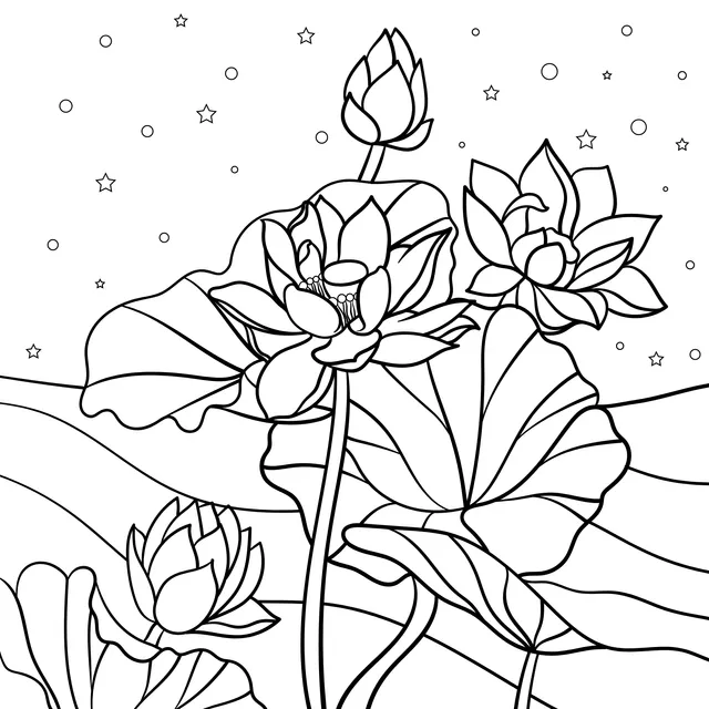 Lotus Flowers under the Starry Sky