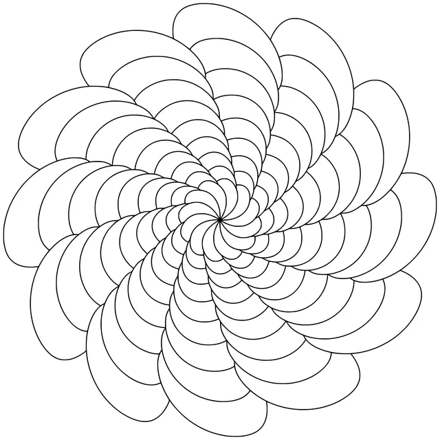 Colorful Spiral Flower