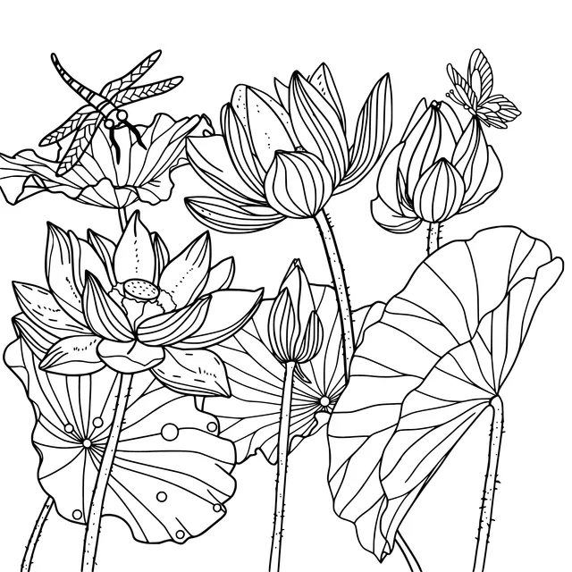 Lotus Flowers with Dragonfly and Butterfly