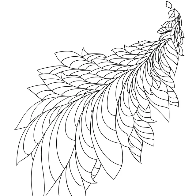 Colorful Feather