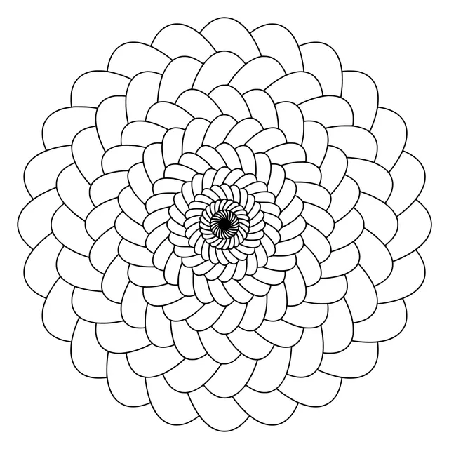 Colorful Flower Pattern