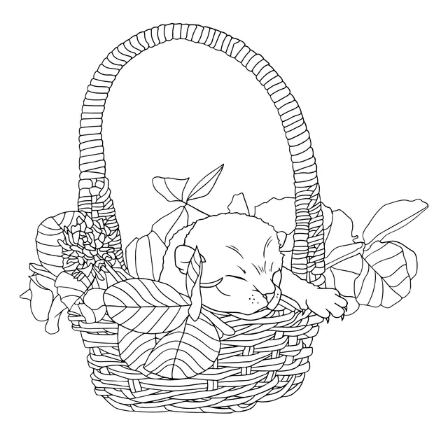 A sleeping kitten in a basket