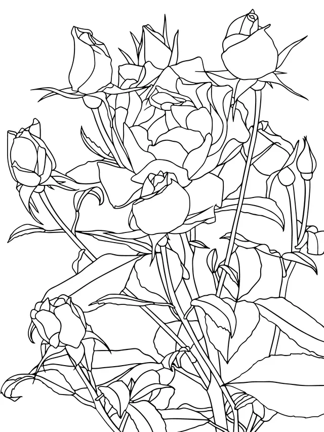 Glistening Red and Yellow Roses