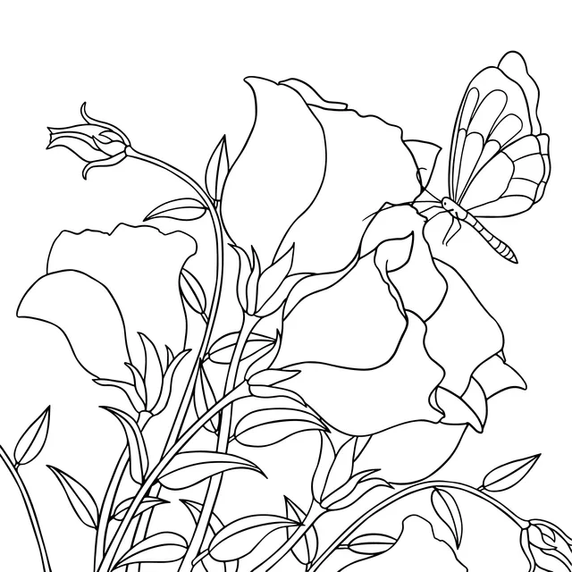 Blue Flowers and Butterfly