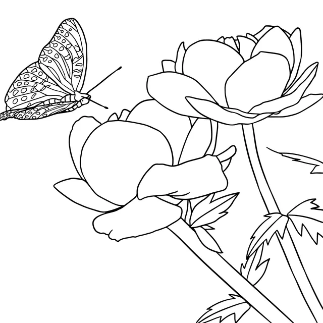 Butterfly and Orange Flowers