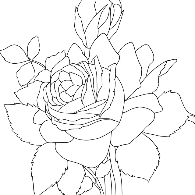 Glistening Orange Rose