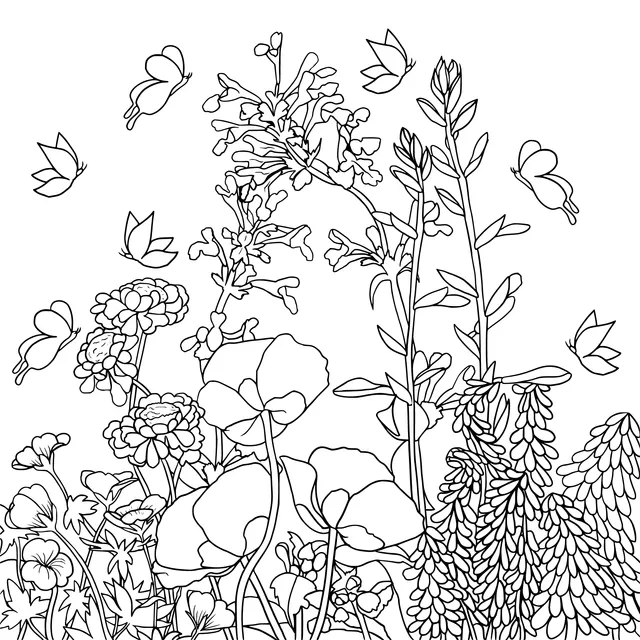 Flowers and Butterflies