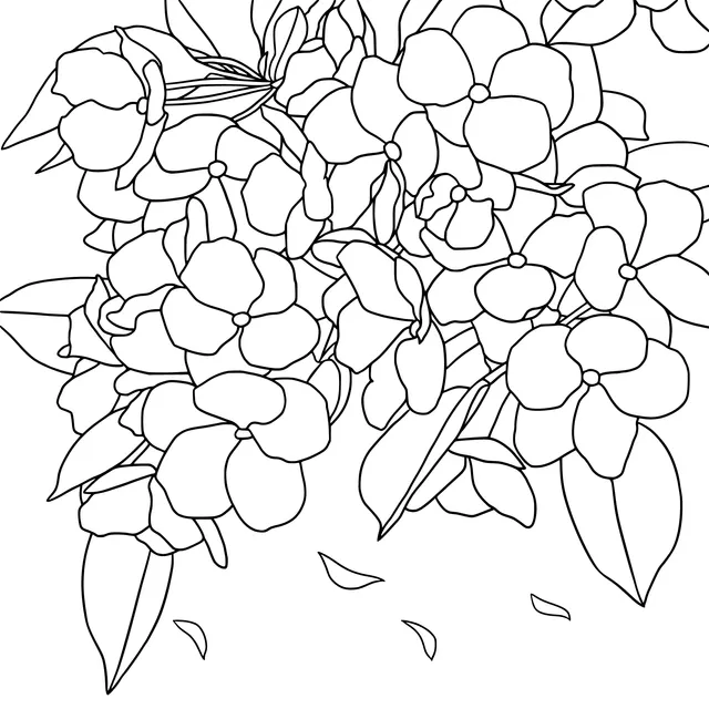 Blooming Pink Flowers