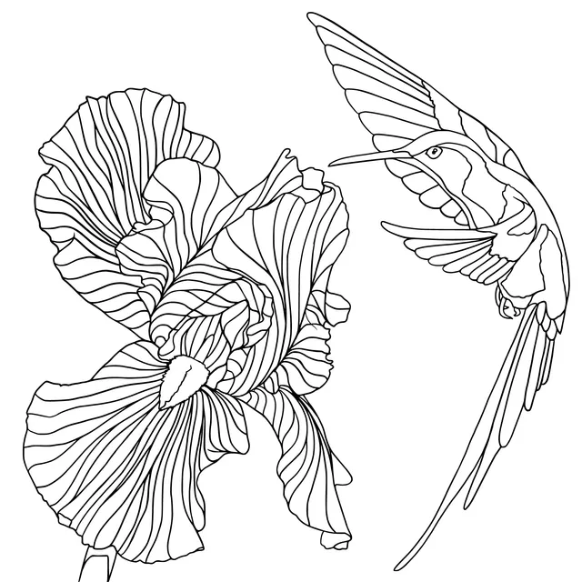 Hummingbird and Blooming Flower
