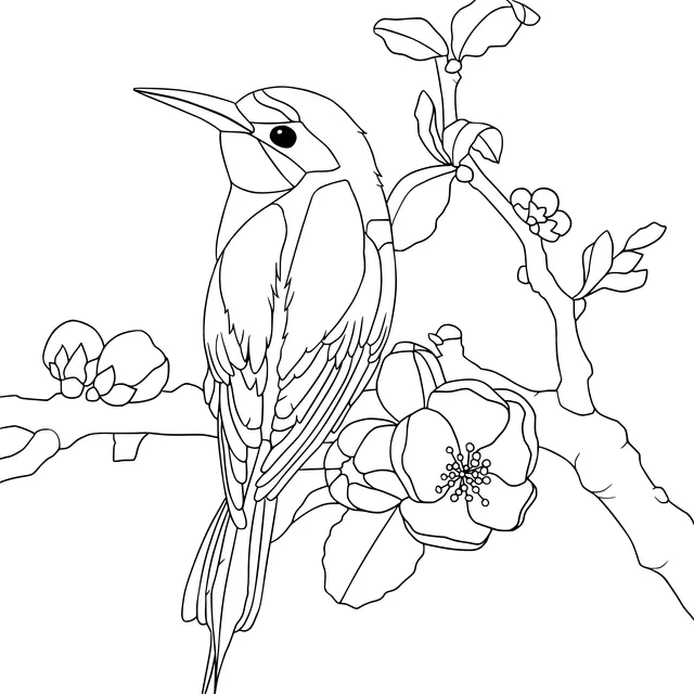 Colorful Bird on Flower - laden Branch