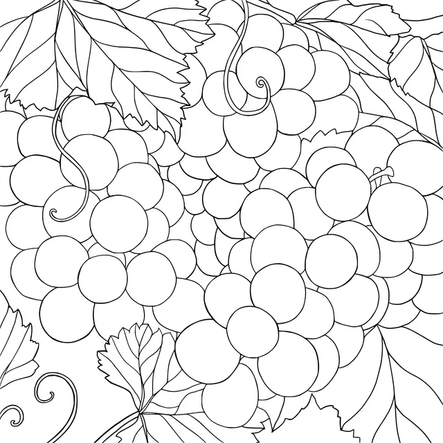 Colorful Grapes
