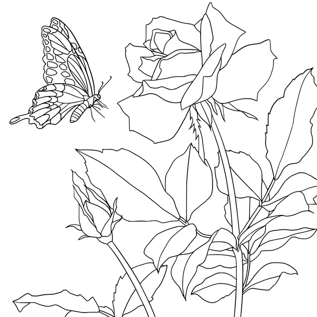 Butterfly and Rose