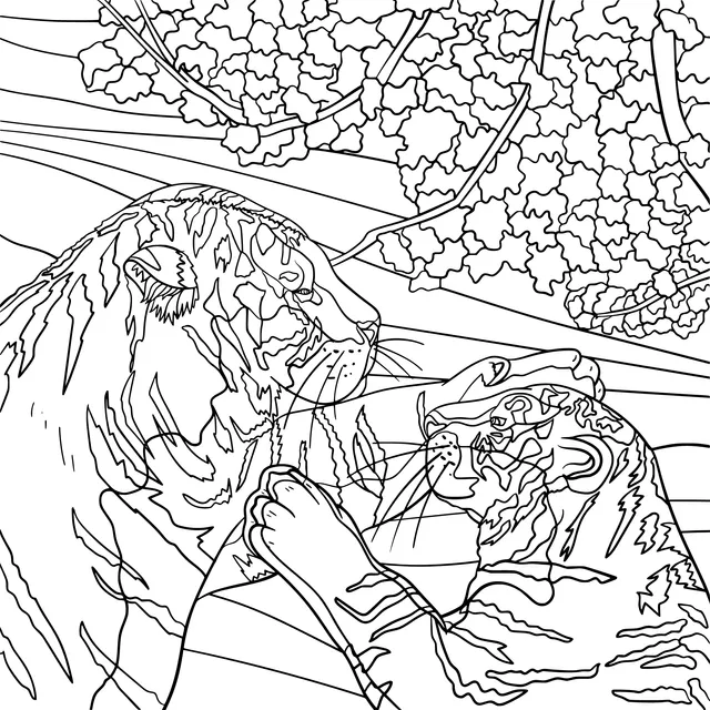 Two Tigers in Intimate Interaction