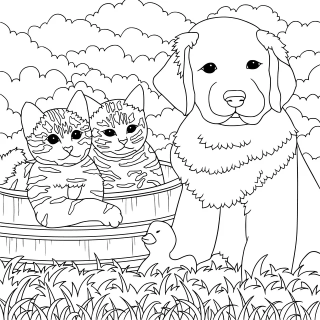 Outdoor Time of Cats, Dog and a Yellow Duck