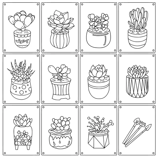 Collection of Colorful Succulent Potted Plants