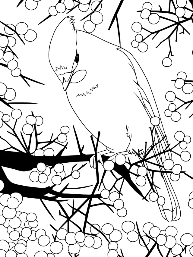 Bird on the Branch