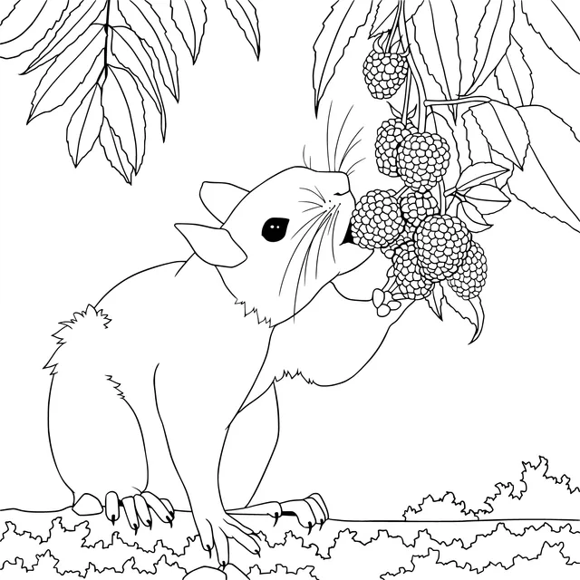 Squirrel eating berries
