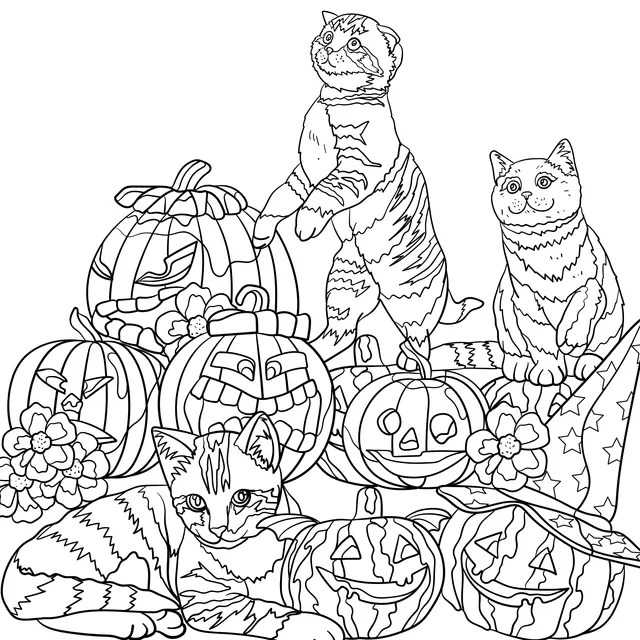 Cats and Jack - o'- lanterns