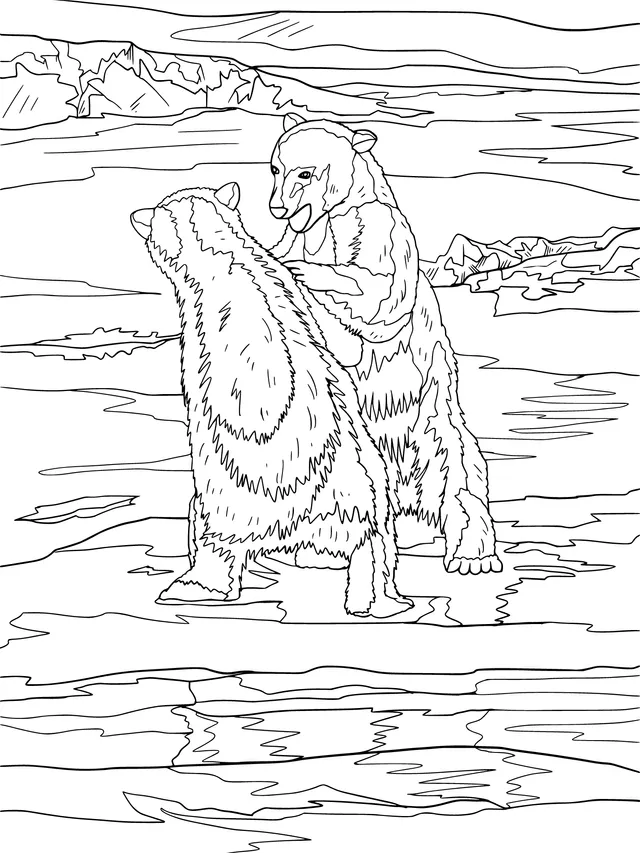 Interacting Polar Bears on the Ice