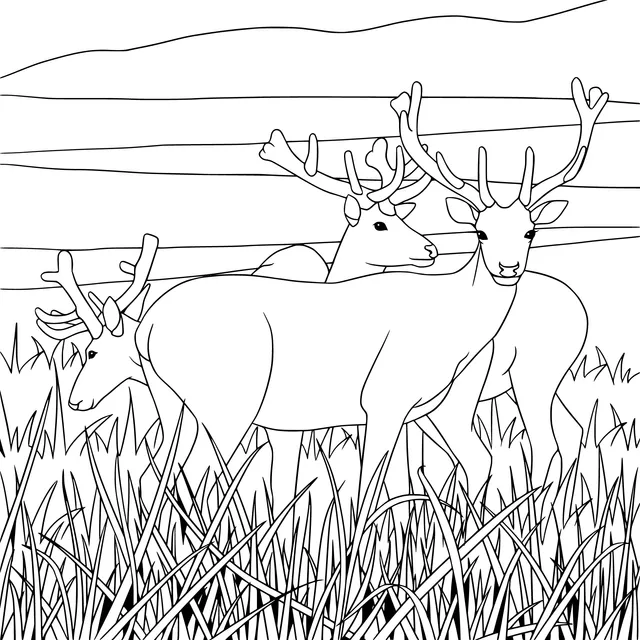 Deer herd on the grassland