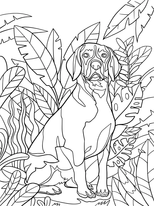 Hound in the Jungle
