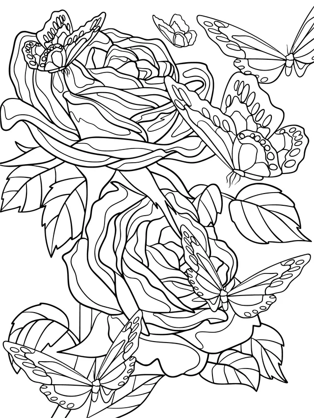 Roses and Butterflies