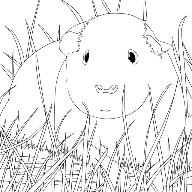 Guinea Pig in the Grass