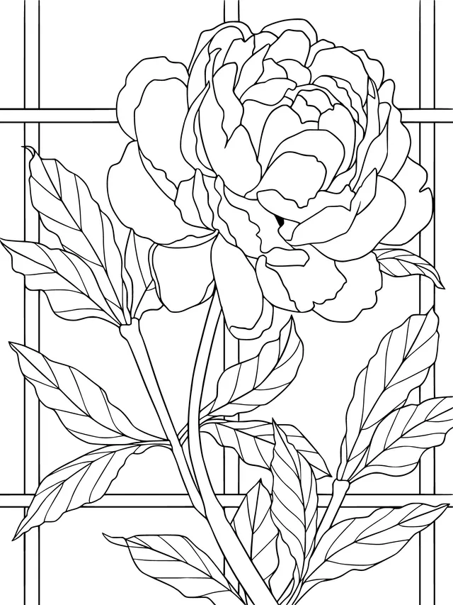 Peony in front of the fence