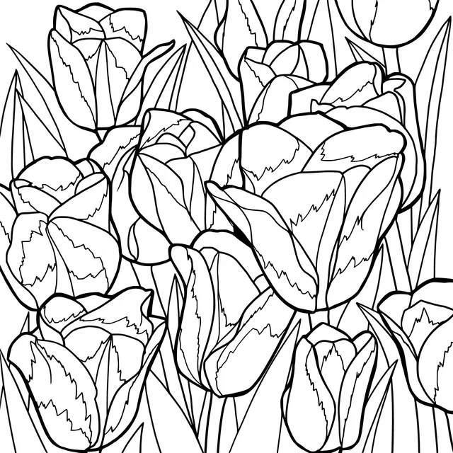 Cluster of Pink Tulips