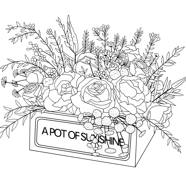 A Box of Sunshine - Flowers