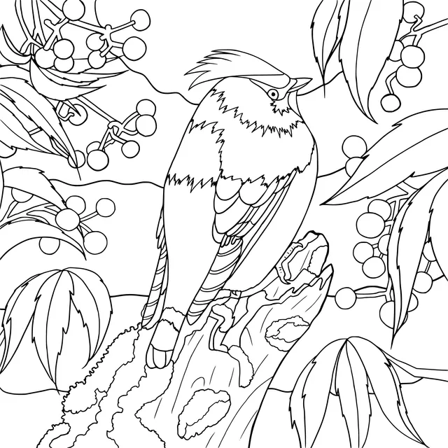 Bohemian Waxwing on the Branch