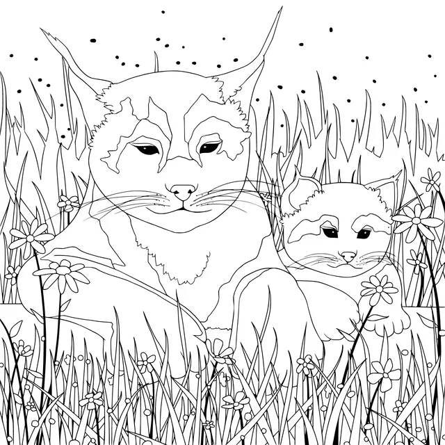 Lynx mother and cub in the grass