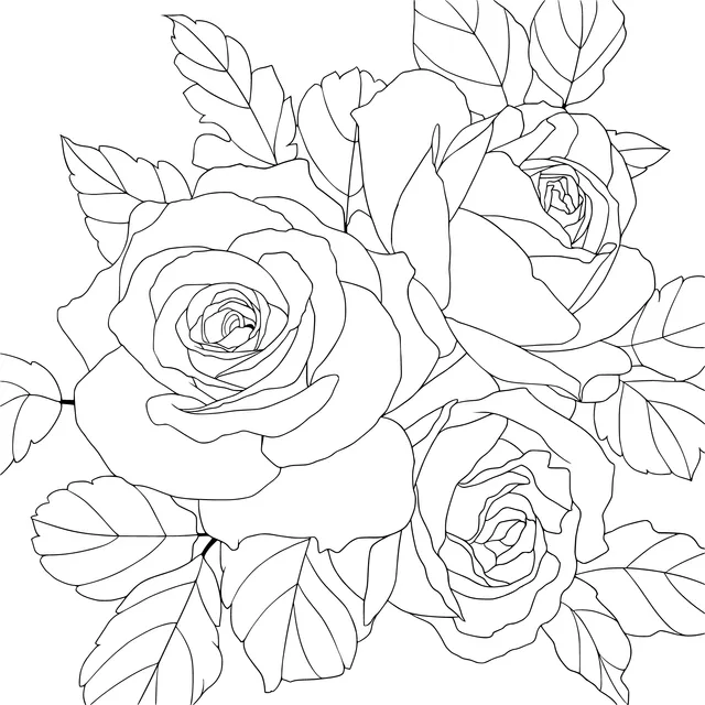 Three Roses