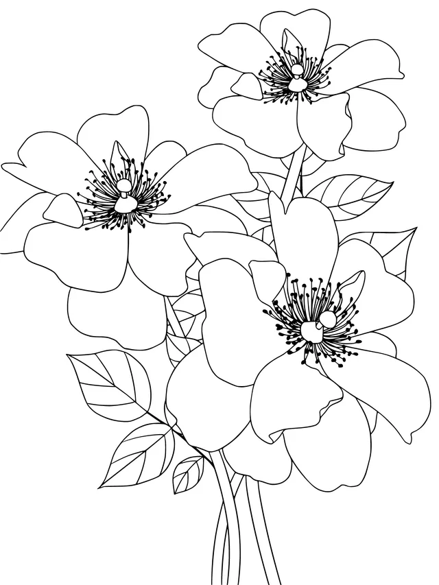 Illustration of Purple Flowers