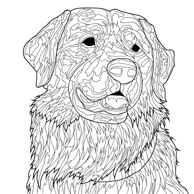 Portrait of a Golden Retriever