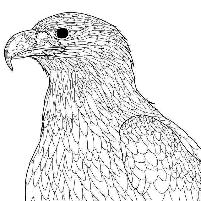 Golden Eagle