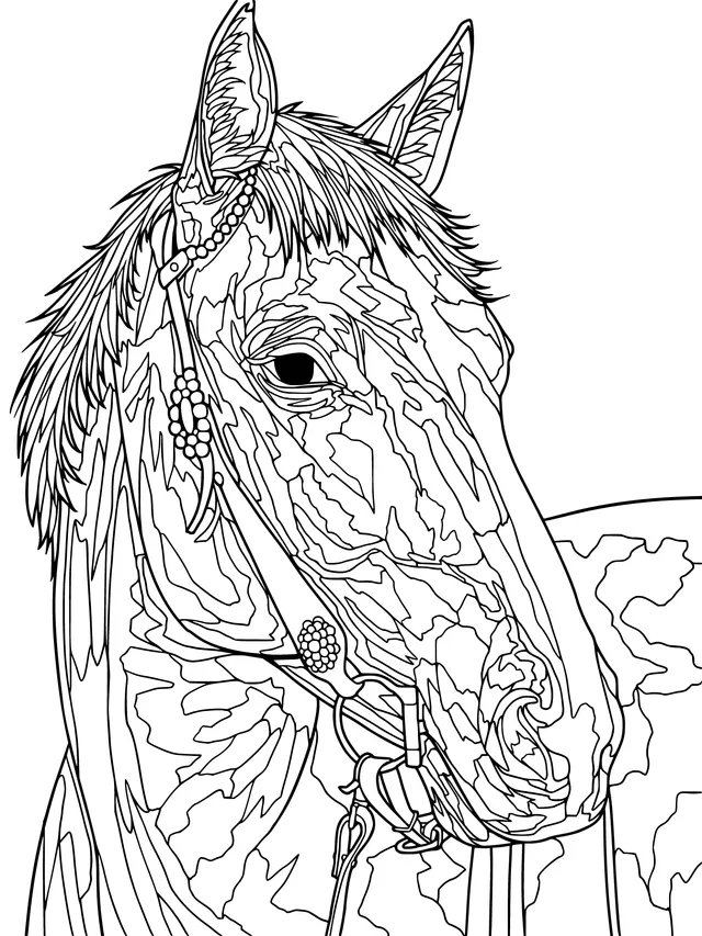 A Steed with Decorative Reins