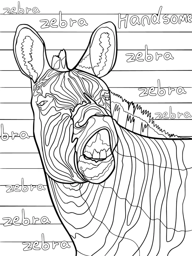 Handsome Zebra