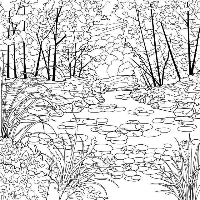 Beautiful Scenery of a Stream in the Forest