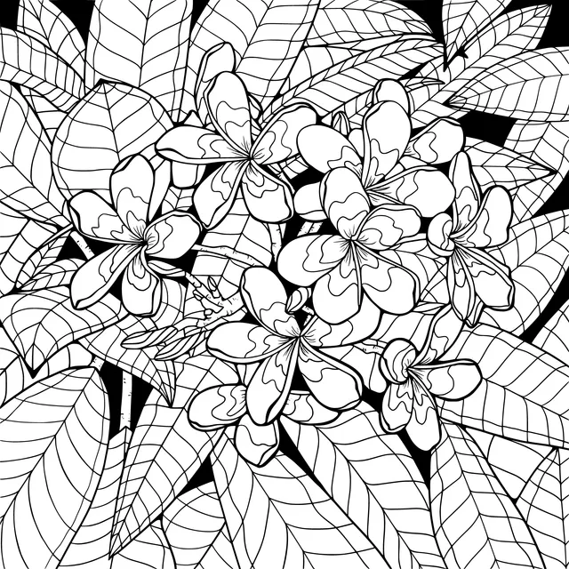 Pink Plumeria and Green Leaves