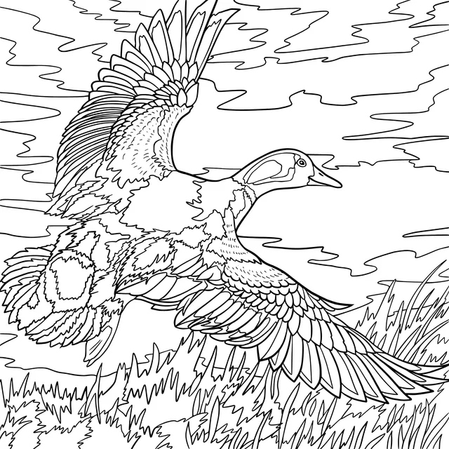 Flying Wild Duck