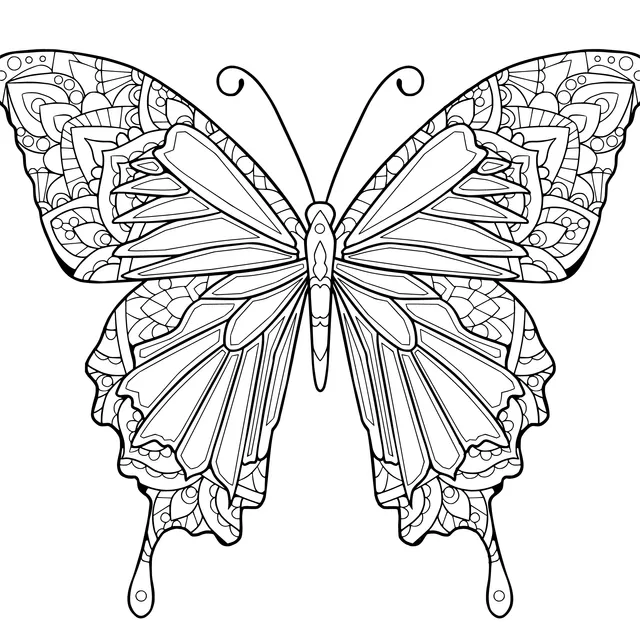 Colorful Patterned Butterfly
