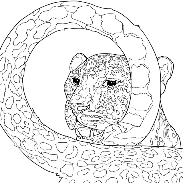 Leopard and Its Tail